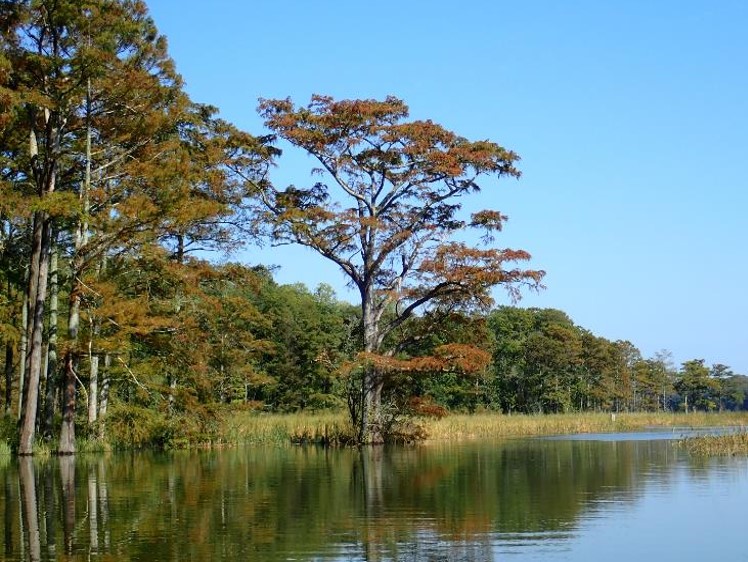 grays creek