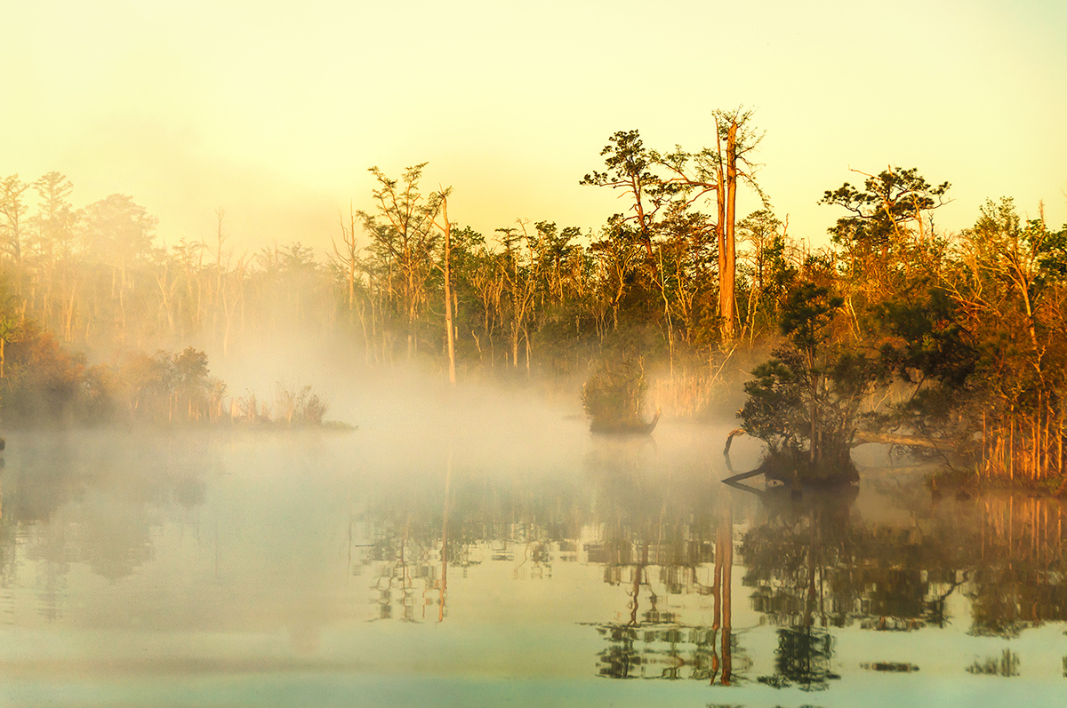 foggy north landing river, honorable mention, photo by erik moore