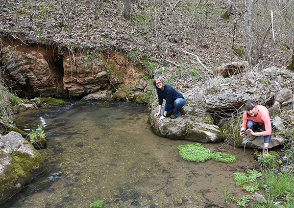 Mill Creek Springs in Scott County - Katarina's spring isopod is found