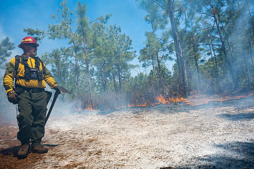 Intern with the fire crew