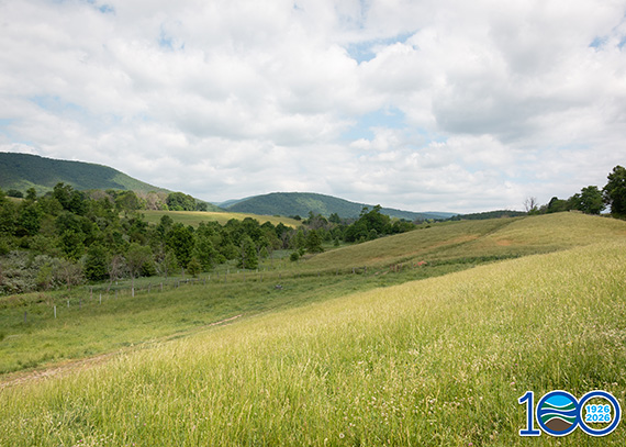 Conserved land