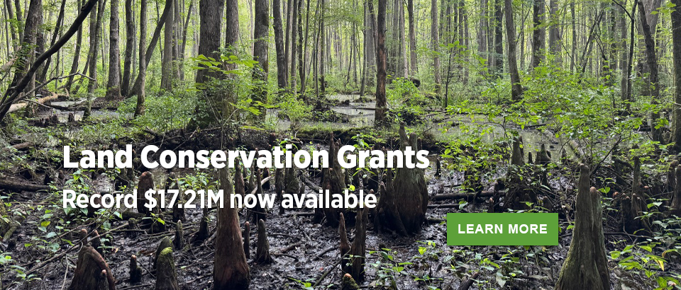 VLCF grants now open