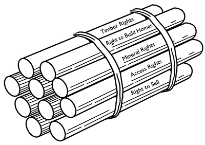 bundle of sticks