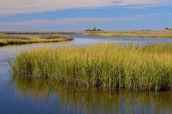 Marks and Jacks Islands Natural Area Preserve