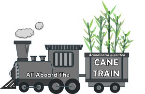 logo for river cane restoration project; cartoon train with overlaid text all aboard the cane train
