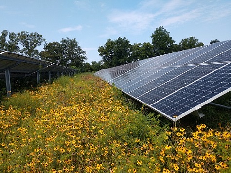 photo of Cople solar facility