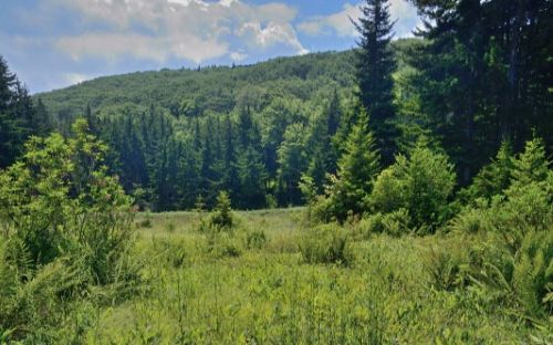 photo of Laurel Fork area Highland co.