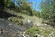 Low-elevation basic outcrop barrens, as found on Naked Mountain, are a globally rare community type
