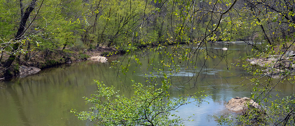 Mayo River