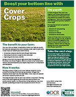 Continuous Cover crop