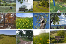 Flicker photos for Sky Meadows State Park