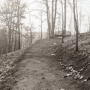 trail to Stuart's Knob
