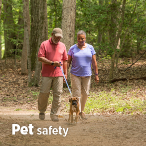Pet safety