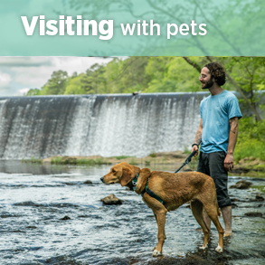 Visiting with your pet in a park