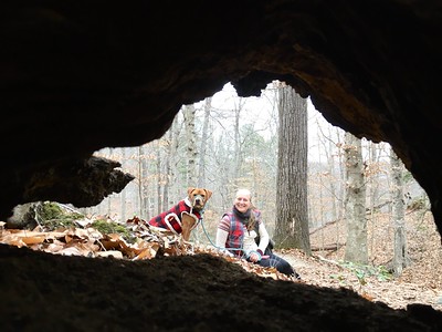 dogs on leash at Pocahontas State Park
