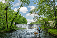 Pocahontas State Park