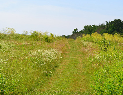 trail at Powhatan State Park