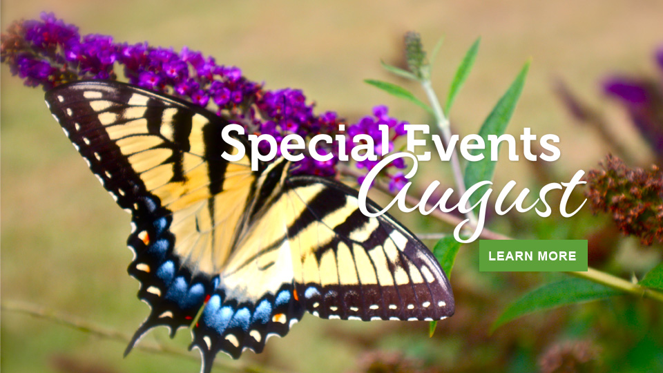 August events in Virginia State Parks